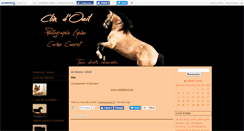 Desktop Screenshot of ccarine.canalblog.com