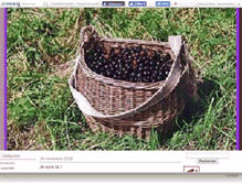 Tablet Screenshot of bosredon.canalblog.com