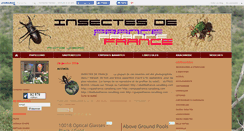 Desktop Screenshot of insectesfrance.canalblog.com