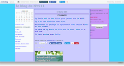 Desktop Screenshot of newyork911.canalblog.com