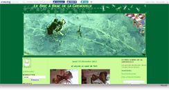 Desktop Screenshot of froggyfrog.canalblog.com