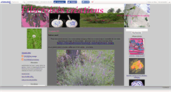 Desktop Screenshot of filscroises.canalblog.com