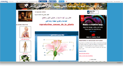 Desktop Screenshot of khsibafethi.canalblog.com