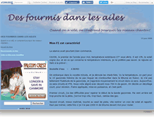 Tablet Screenshot of fourmihozelles.canalblog.com