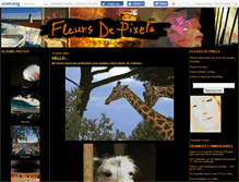 Tablet Screenshot of fleursdepixels.canalblog.com