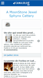 Mobile Screenshot of amoonstonejewel.canalblog.com