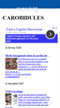 Mobile Screenshot of carobidules.canalblog.com