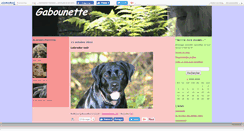 Desktop Screenshot of gabounette4.canalblog.com