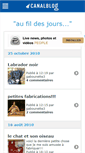 Mobile Screenshot of gabounette4.canalblog.com
