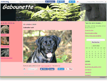 Tablet Screenshot of gabounette4.canalblog.com