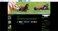 Desktop Screenshot of oxxer.canalblog.com
