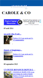 Mobile Screenshot of carolandco.canalblog.com