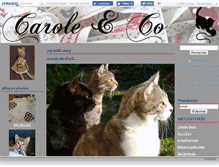 Tablet Screenshot of carolandco.canalblog.com