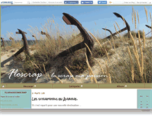 Tablet Screenshot of floscrap95.canalblog.com
