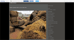 Desktop Screenshot of lyonville.canalblog.com