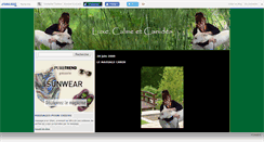 Desktop Screenshot of massagepourchien.canalblog.com