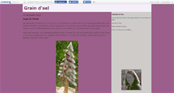 Desktop Screenshot of grainsel.canalblog.com