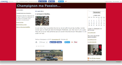 Desktop Screenshot of danikate.canalblog.com