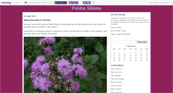 Desktop Screenshot of petitesilene.canalblog.com