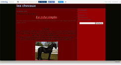 Desktop Screenshot of leschevaux2000.canalblog.com