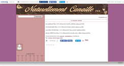 Desktop Screenshot of natcanaille.canalblog.com