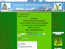 Tablet Screenshot of collectifava.canalblog.com