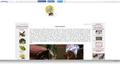 Desktop Screenshot of cookeco.canalblog.com