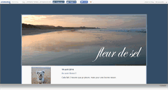 Desktop Screenshot of fleurdeselbreton.canalblog.com