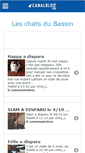 Mobile Screenshot of leschatsdubassin.canalblog.com