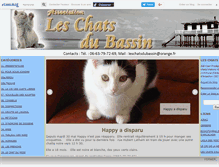 Tablet Screenshot of leschatsdubassin.canalblog.com