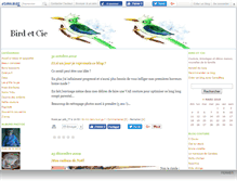 Tablet Screenshot of birdetcie.canalblog.com