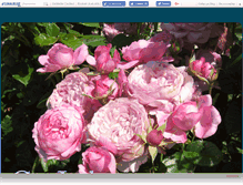 Tablet Screenshot of cosiadoru.canalblog.com