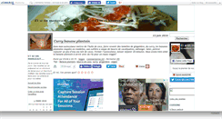 Desktop Screenshot of etsionmangeait.canalblog.com