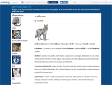 Tablet Screenshot of petanimal.canalblog.com