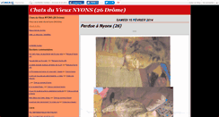 Desktop Screenshot of catsofnyons.canalblog.com