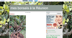 Desktop Screenshot of bonsaikareunion.canalblog.com