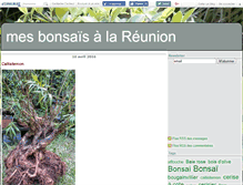 Tablet Screenshot of bonsaikareunion.canalblog.com